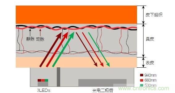 反射光脈搏測(cè)量原理。傳感器發(fā)出的光透過(guò)皮膚和組織，一部分被吸收，一部分被反射回檢測(cè)器。因?yàn)閯?dòng)脈中的血流量隨心臟的每次跳動(dòng)會(huì)有所變化，因此光線被吸收的量以及檢測(cè)器收到的信號(hào)強(qiáng)度也會(huì)隨之發(fā)生改變。綠光可以在手腕處提供最佳結(jié)果，而紅光和紅外光一般用于手指測(cè)量。 8