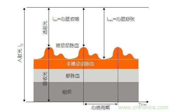 PPG測(cè)量中檢測(cè)器信號(hào)的產(chǎn)生。照射皮膚的光線(I0)被靜脈血或動(dòng)脈血吸收，或反射回檢測(cè)器。信號(hào)的變化分量對(duì)應(yīng)著與心跳同步變化的動(dòng)脈血流量。這個(gè)信號(hào)的變化周期指示了脈率。最小和最大檢測(cè)器信號(hào)的比值(光電流Imin/Imax)為判斷血氧飽和度提供了依據(jù)。
