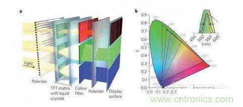  LCD顯示器示意圖。TFT表示薄膜晶體管（thin-film transistor）。