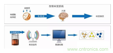 仿生傳感器的定義、原理、分類及應(yīng)用
