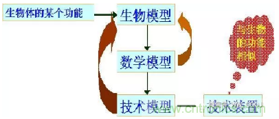 仿生傳感器的定義、原理、分類及應(yīng)用