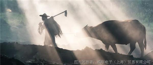 智慧農(nóng)業(yè)大有可為，“數(shù)字種地”更輕松
