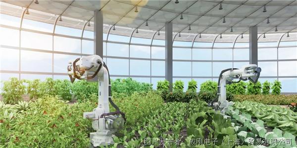 智慧農(nóng)業(yè)大有可為，“數(shù)字種地”更輕松